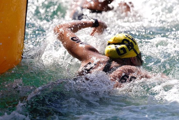 Nadadores de maratona prontos para final do Funchal |  Notícias de natação