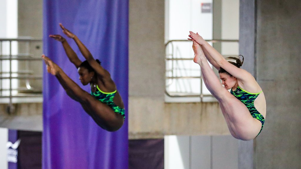 Live updates from the British National Diving Cup 2022 Diving News