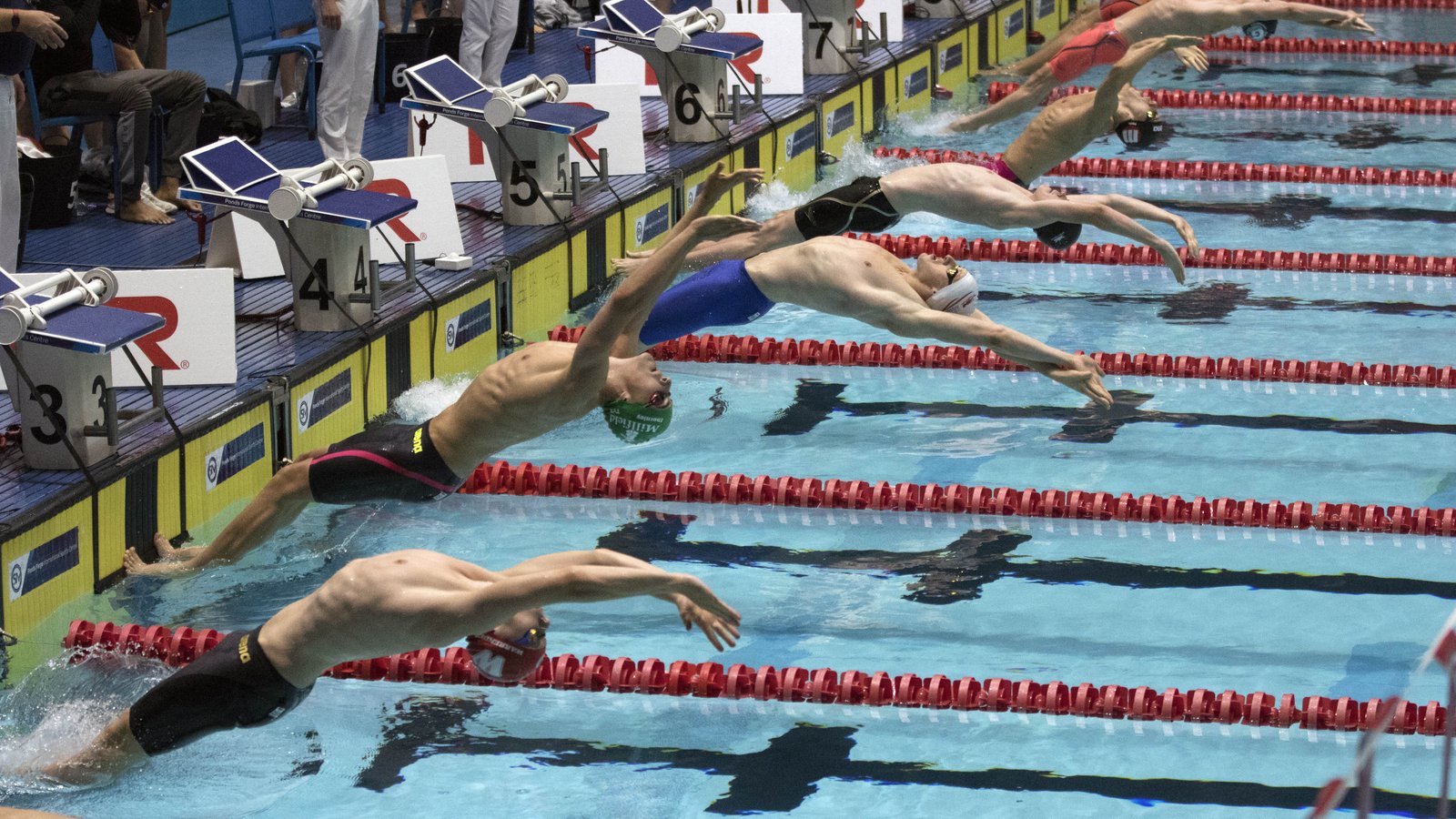 Summer champs set to close with a bang Swimming News British Swimming