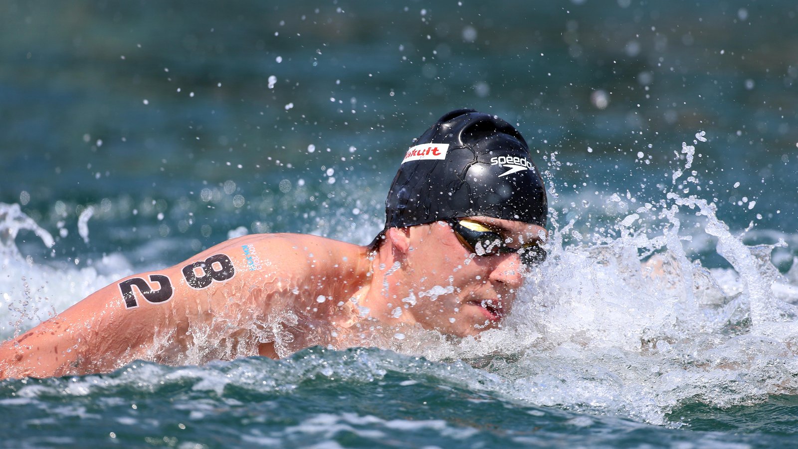 swimming marathon near me