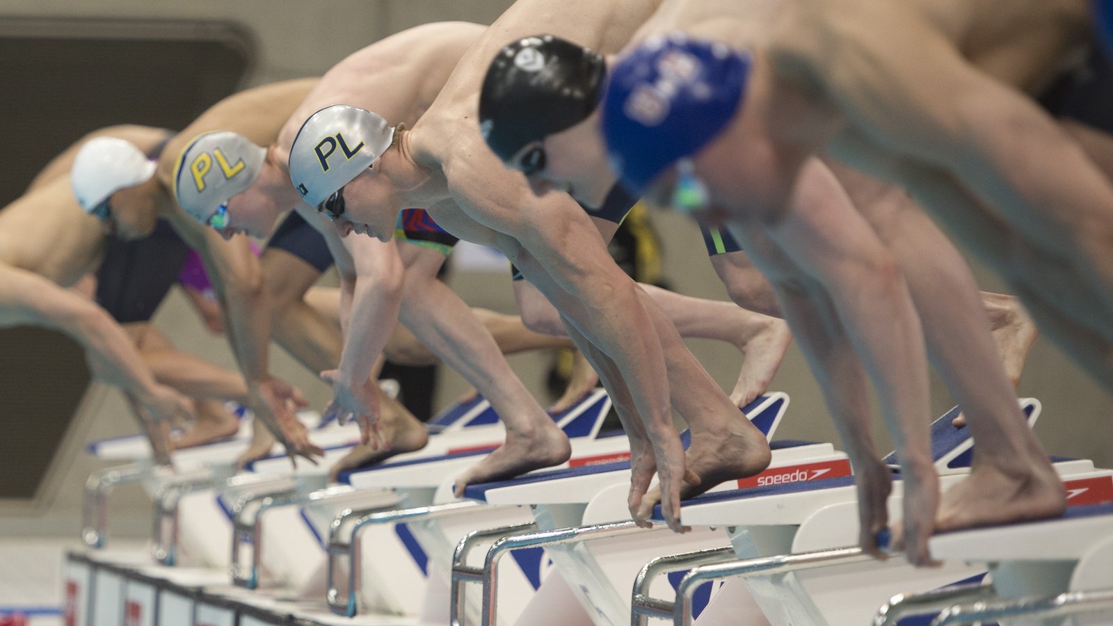 2016 Results Swimming Results British Swimming