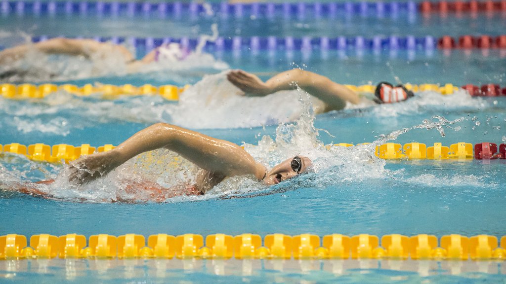 Nutrition Swimming British Swimming