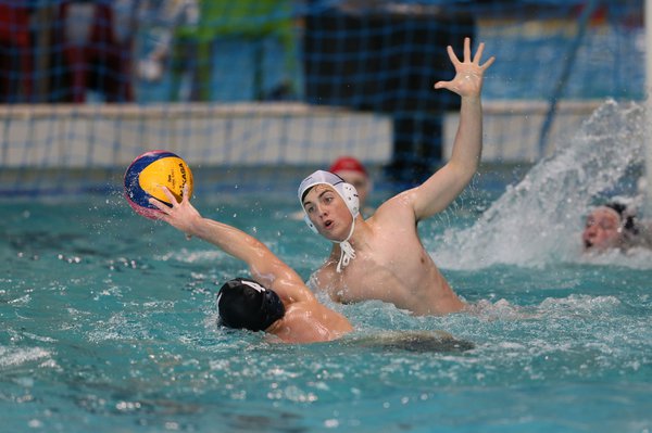 Water Polo  The home of Swim England Water Polo